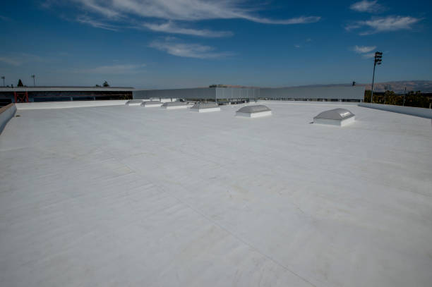 Best Roof Insulation Installation  in Palm Valley, TX
