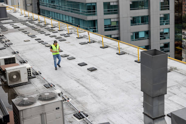 Best Cold Roofs  in Palm Valley, TX