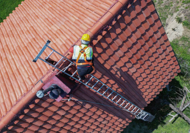 Best Sheet Metal Roofing  in Palm Valley, TX